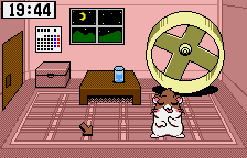 Dokodemo Hamster 3: O-Dekake Safuran screenshot 3 for WonderSwan Color